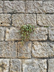 stone wall texture