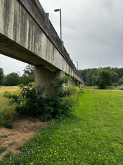 wooden bridge in the woods
