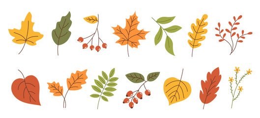 Obraz premium Set of various autumn leaves and berries in simple flat style