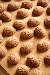 Nut shaped homemade cocoa Christmas cookies on a table