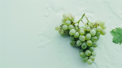Green grapes with a leaf on light blue background covered in water droplets