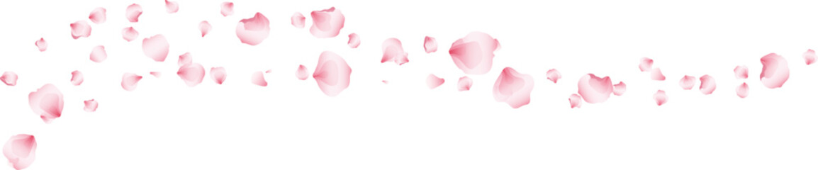 Flying pink petals transparent background. Beautiful floral overlay with lots of rose petals.