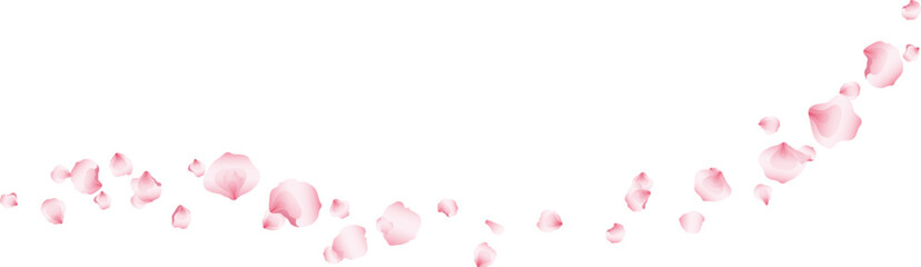 Flying pink petals transparent background. Beautiful floral overlay with lots of rose petals.
