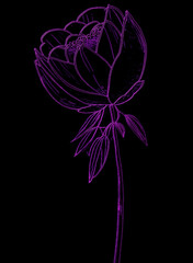  Flower on black background. Vector illustration for your design