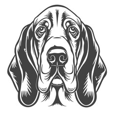 beagle dog portrait, basset hound bread