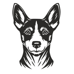 portrait of a dog, basenji bread