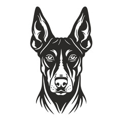 portrait of a dog, basenji bread