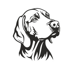 black and white heads, bavarian mountain scent hound