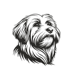 bearded collie dog, vector head. Laser cut file