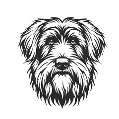 bearded collie dog, vector head. Laser cut file