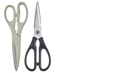 Closeup two poultry shears, aligned on white copy-space background.