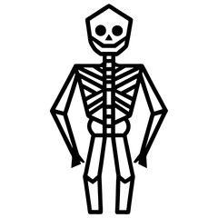 human skull and bones