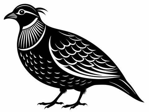 recommend clip art: quail bird black silhouette vector