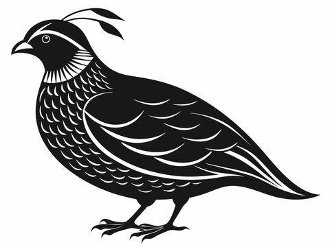 recommend clip art: quail bird black silhouette vector