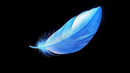   A close-up photo of a blue bird's feather on a black background, including a reflection of the bird's wing