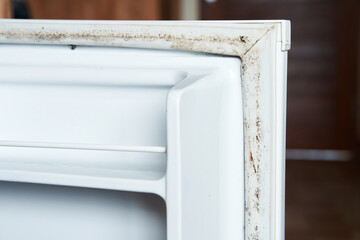 Terrible unhealthy mold on the elastic band of the home refrigerator.