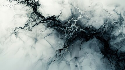 Generate a high-resolution abstract image with organic textures and interconnected black veins on a white background. Ensure the design is intricate and visually engaging