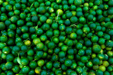 The texture of many green, ripe, juicy limes lie in a shop display case.