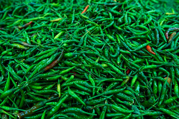 The texture of many green spicy long peppers is displayed in the store.