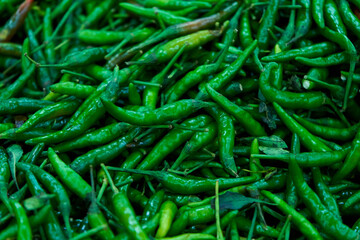The texture of many green spicy long peppers is displayed in the store.