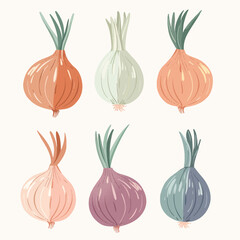 Vector Shallot simple and minimali