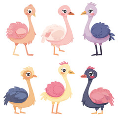 Obraz premium Vector Ostrich simple and minimali