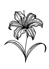 Flowers SVG, Plant SVG, Blossom SVG, Anemone SVG, Rose bud SVG, Astilbe SVG, Clematis SVG, Cornflower SVG, Daylily SVG, Delphinium SVG, Flowers Design, Flowers Silhouette, Cut file for Cricut PNG, JPG