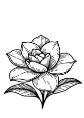 Flowers SVG, Plant SVG, Blossom SVG, Anemone SVG, Rose bud SVG, Astilbe SVG, Clematis SVG, Cornflower SVG, Daylily SVG, Delphinium SVG, Flowers Design, Flowers Silhouette, Cut file for Cricut PNG, JPG