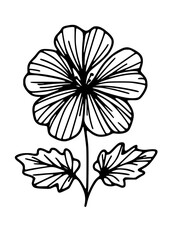 Flowers SVG, Plant SVG, Blossom SVG, Alstroemeria SVG, Rose SVG, Camelia SVG, Poppy SVG, Lilac SVG, Hibiscus SVG, Orchid SVG, Flowers Design, Flowers Silhouette, Cut file for Cricut SVG, JPG, PNG