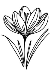 Flowers SVG, Plant SVG, Blossom SVG, Anemone SVG, Rose bud SVG, Astilbe SVG, Clematis SVG, Cornflower SVG, Daylily SVG, Delphinium SVG, Flowers Design, Flowers Silhouette, Cut file for Cricut PNG, JPG