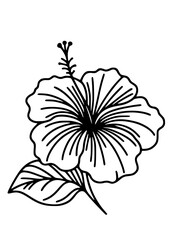 Flowers SVG, Plant SVG, Blossom SVG, Alstroemeria SVG, Rose SVG, Camelia SVG, Poppy SVG, Lilac SVG, Hibiscus SVG, Orchid SVG, Flowers Design, Flowers Silhouette, Cut file for Cricut SVG, JPG, PNG