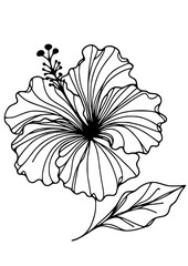 Flowers SVG, Plant SVG, Blossom SVG, Anemone SVG, Rose bud SVG, Astilbe SVG, Clematis SVG, Cornflower SVG, Daylily SVG, Delphinium SVG, Flowers Design, Flowers Silhouette, Cut file for Cricut PNG, JPG