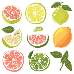 Vector Pomelo simple and minimalis