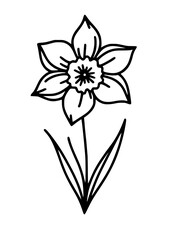 Flowers SVG, Lily SVG, Peony SVG, Daisy SVG, Cherry Blossom SVG, Poppy SVG, Gladiolus SVG, Blossom SVG, Plant SVG, Flowers Design, Flowers Silhouette, Cut file for Cricut SVG, JPG, PNG