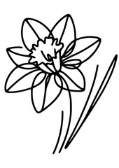 Flowers SVG, Lily SVG, Peony SVG, Daisy SVG, Cherry Blossom SVG, Poppy SVG, Gladiolus SVG, Blossom SVG, Plant SVG, Flowers Design, Flowers Silhouette, Cut file for Cricut SVG, JPG, PNG