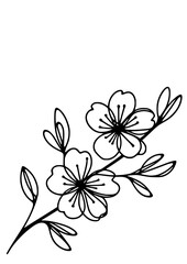 Flowers SVG, Lily SVG, Peony SVG, Daisy SVG, Cherry Blossom SVG, Poppy SVG, Gladiolus SVG, Blossom SVG, Plant SVG, Flowers Design, Flowers Silhouette, Cut file for Cricut SVG, JPG, PNG