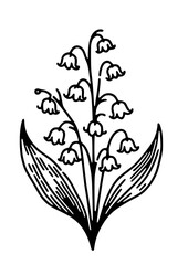 Flowers SVG, Lily SVG, Peony SVG, Daisy SVG, Cherry Blossom SVG, Poppy SVG, Gladiolus SVG, Blossom SVG, Plant SVG, Flowers Design, Flowers Silhouette, Cut file for Cricut SVG, JPG, PNG