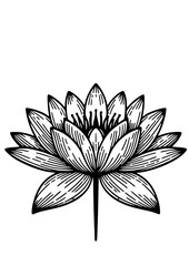 Flowers SVG, Lily SVG, Peony SVG, Daisy SVG, Cherry Blossom SVG, Poppy SVG, Gladiolus SVG, Blossom SVG, Plant SVG, Flowers Design, Flowers Silhouette, Cut file for Cricut SVG, JPG, PNG