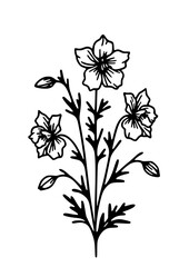 Flowers SVG, Lily SVG, Peony SVG, Daisy SVG, Cherry Blossom SVG, Poppy SVG, Gladiolus SVG, Blossom SVG, Plant SVG, Flowers Design, Flowers Silhouette, Cut file for Cricut SVG, JPG, PNG