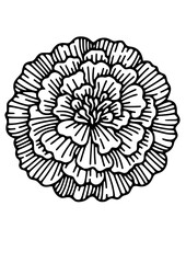 Flowers SVG, Floral SVG, Plant SVG, Blossom SVG, Flora SVG, Nature SVG, Leaves SVG, Green SVG, Gift for girl SVG, Flowers Silhouette, Flowers Design, Cut file for Cricut SVG, JPG, PNG