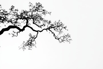 A solitary oak tree stands tall with its sprawling branches silhouetted against a serene, pale sky during twilight