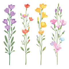 Vector Freesia simple and minimali