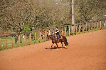 Naklejka premium homem cavalgando andando de cavalo em arena externa 