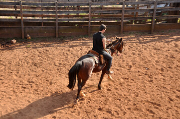 homem vaqueiro andando de cavalo cavalgada em arena area rural 