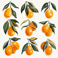 Obraz premium Vector Kumquat simple and minimali
