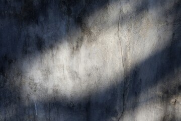 Glowing gray wall background with moss frame