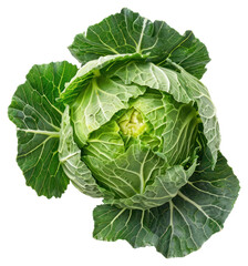 Obraz premium PNG Cabbage cabbage vegetable produce.