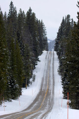 A snowy road covered with pine trees on both sides 