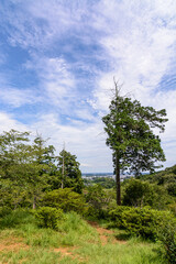 ハイキングコースの山の風景