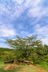ハイキングコースの山の風景